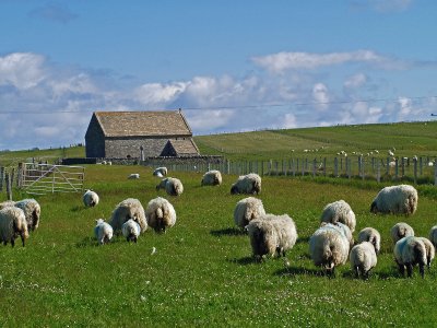 schottland jigsaw puzzle