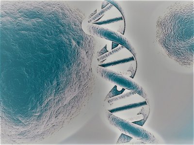 DNA