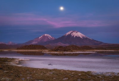 Chile 82