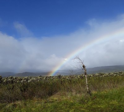 פאזל של atardecer de mi region