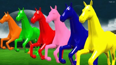 horse colour