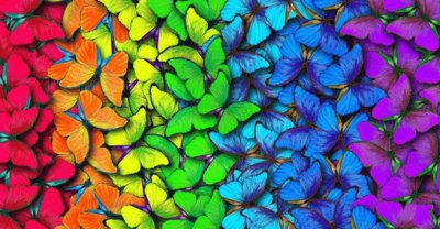 פאזל של Colorful Butterflies