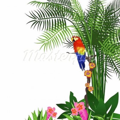 פאזל של Parrot in the rainforest