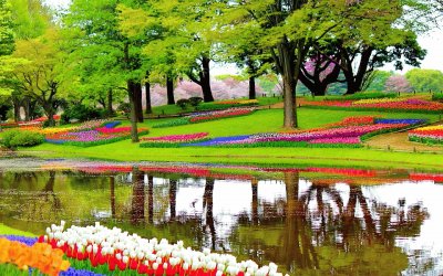 keukenhof jigsaw puzzle