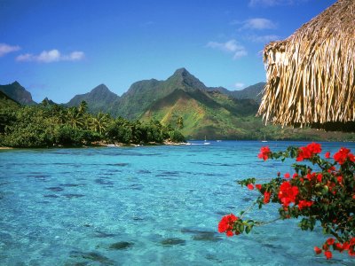 פאזל של polynesia