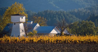 Napa Farmhouse jigsaw puzzle