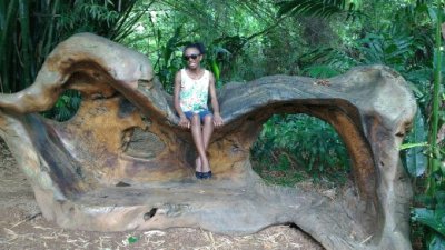 dreia