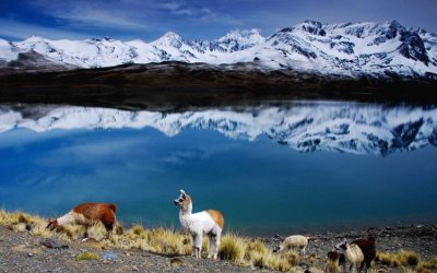 Paisaje Boliviano jigsaw puzzle