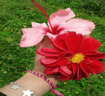 flowers