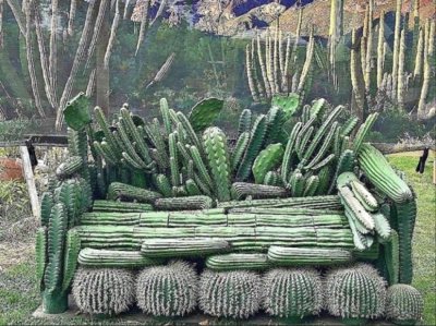 SOFÃ DE CACTUS jigsaw puzzle