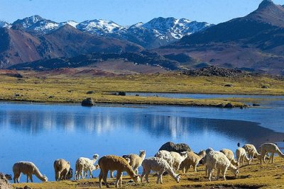 Sierra peruana