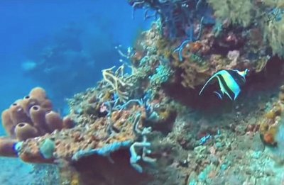 Bali Snorkeling