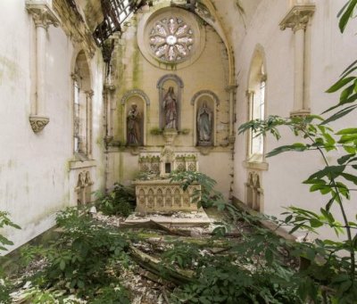 Nature Reclaimed