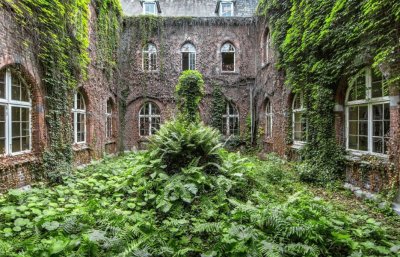 Nature Reclaimed 2