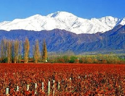 mendoza argentina jigsaw puzzle