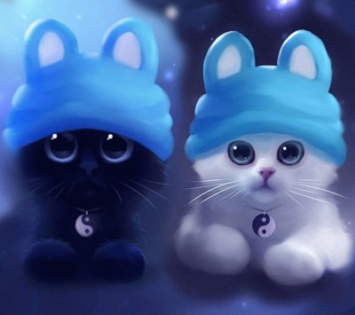 פאזל של Hermosos gatitos