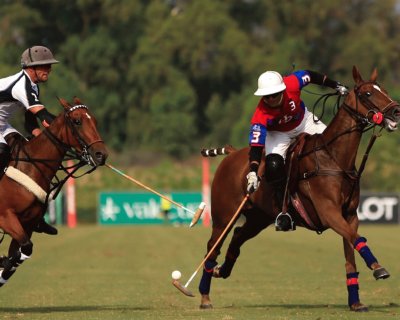 POLO jigsaw puzzle