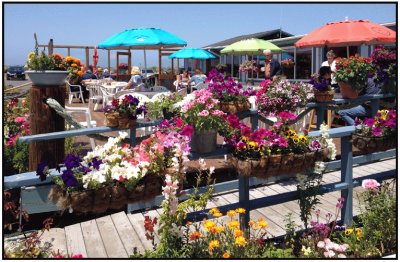 Colorful Outdoor Dining-Eureka CA