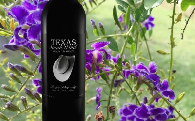 Purple Rhaapsody Wine-Texas SouthWind Vineyard