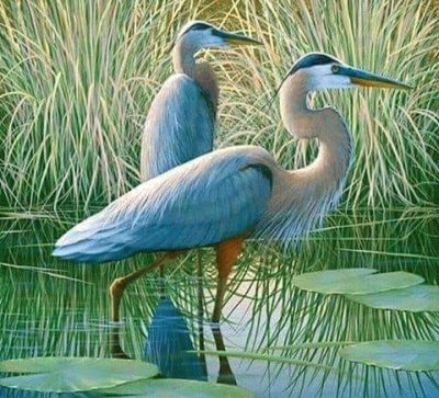 cranes jigsaw puzzle