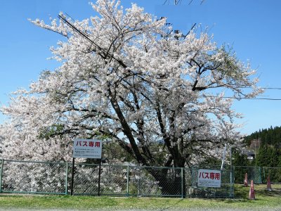 פאזל של JAPON  NAGOME