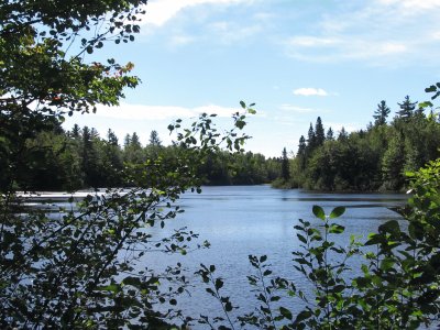 The Big Dam again  this year - still so pretty