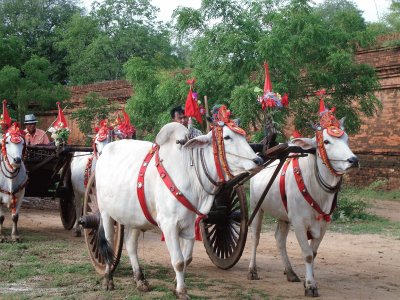 פאזל של Bagan Myanmar