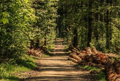 Nature jigsaw puzzle