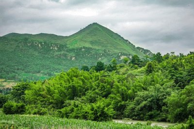 Nature jigsaw puzzle