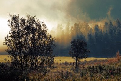 Nature jigsaw puzzle