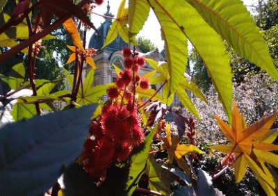 couleurs de l 'Ã©tÃ©