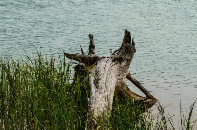 Maligne Lake - Canada jigsaw puzzle