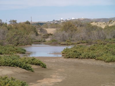 maspalomas