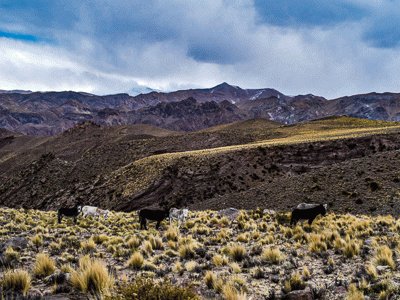 Catamarca jigsaw puzzle