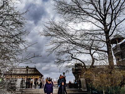 פאזל של Central Park