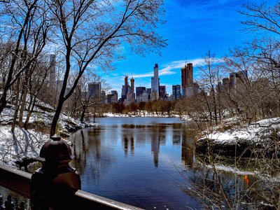 Central Park jigsaw puzzle