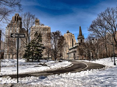 Central Park jigsaw puzzle