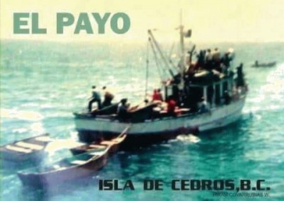 El Payo, isla de Cedros BC
