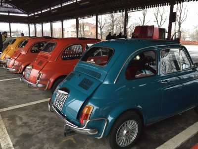 פאזל של FIAT 500 tutti frutti