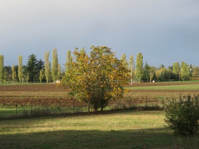 פאזל של autunno