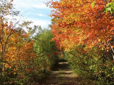 Hitting the trail for home  Oct 4th jigsaw puzzle