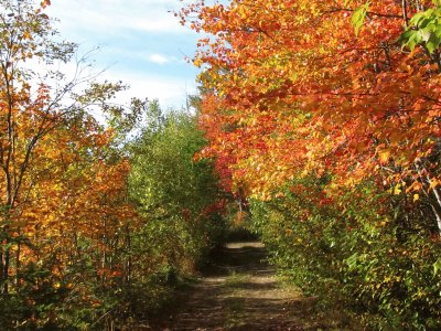 Hitting the trail for home  Oct 4th