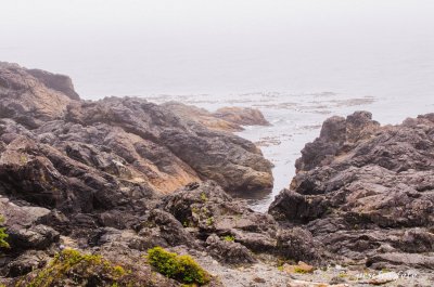 Wild Coast jigsaw puzzle