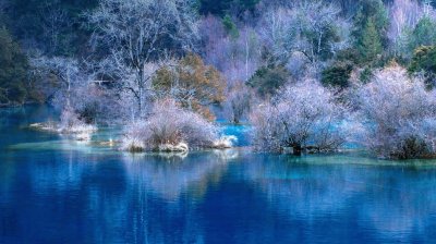 Lago invernal jigsaw puzzle