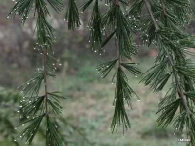 Invierno