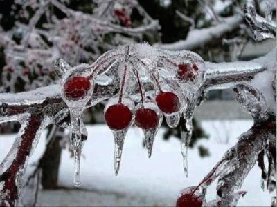 פאזל של Invierno