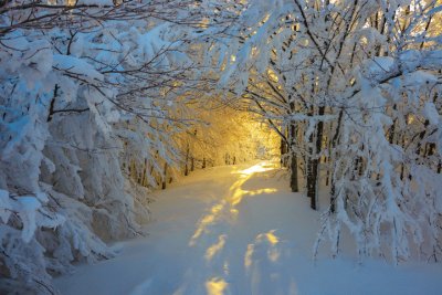 פאזל של Invierno