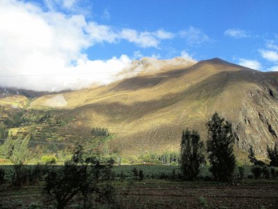 CampiÃ±a peruana.