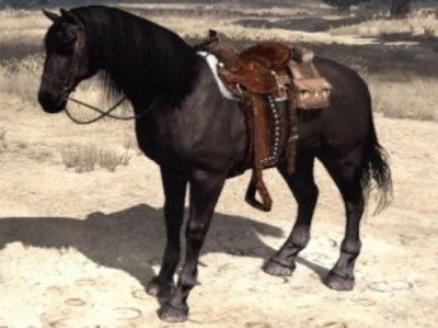 פאזל של American standardbred