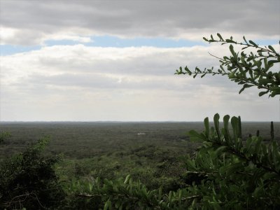 Paisaje yucateco.